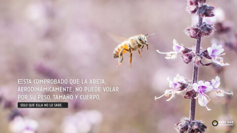 La abeja