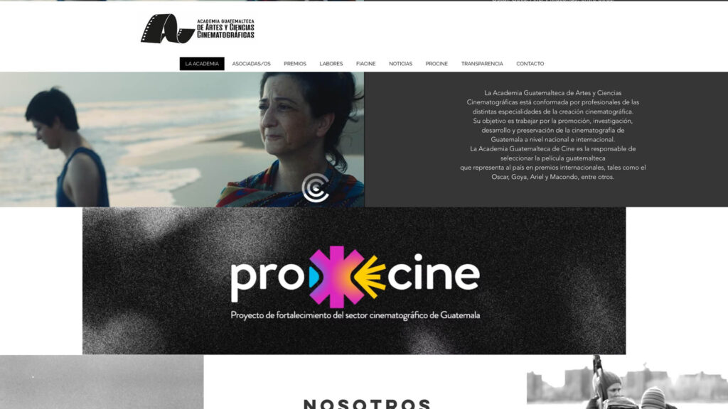 proyecto de cliente academiadecinegt