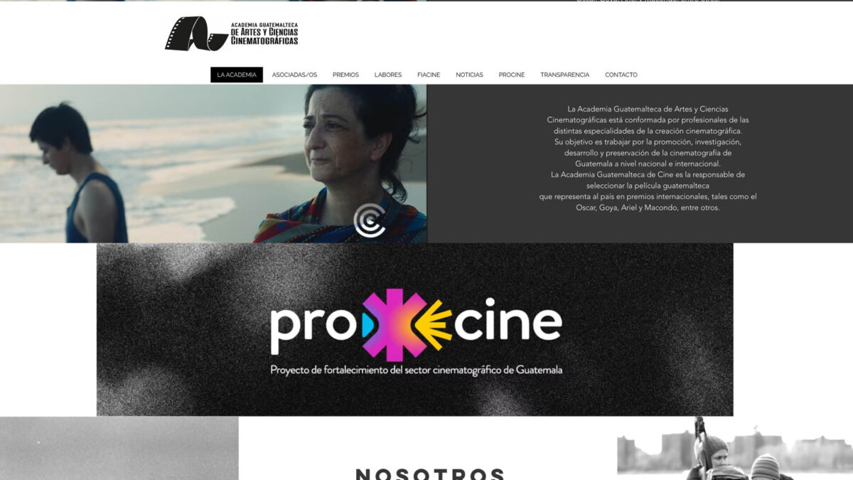 proyecto de cliente academiadecinegt